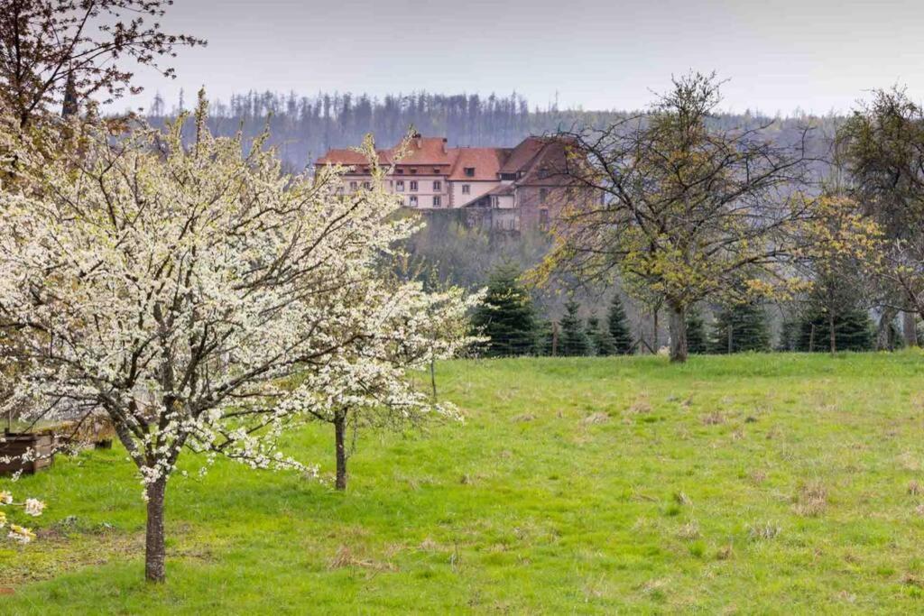 Maison Privilege Nature A Pierre Holiday home *