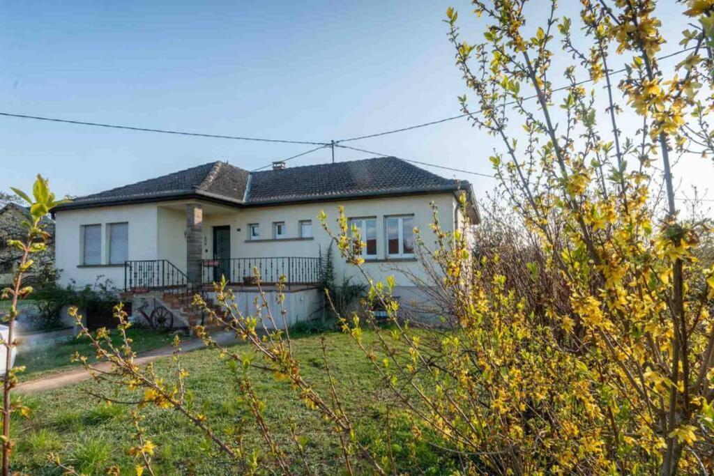 Maison Privilege Nature A Pierre La Petite-Pierre